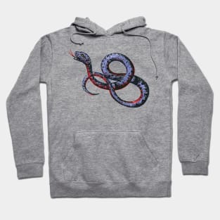 Danger! Noodle! Hoodie